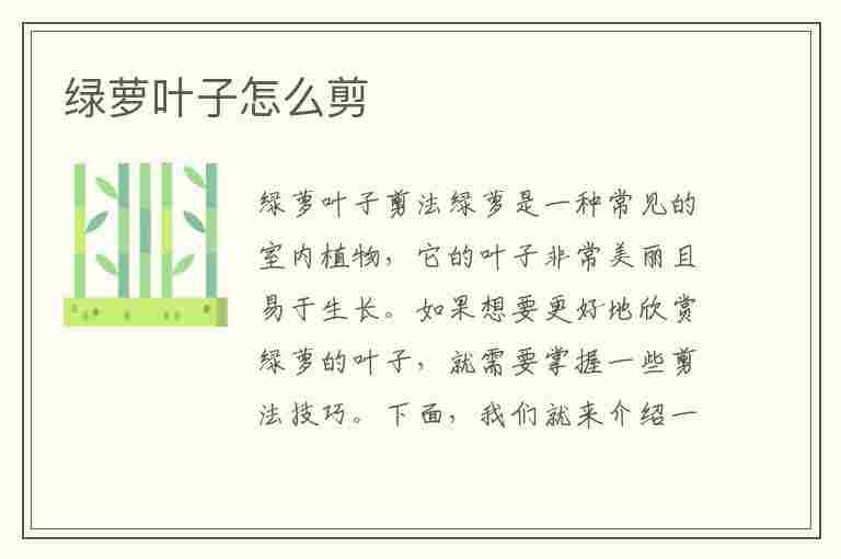 绿萝叶子怎么剪(绿萝叶子怎么剪掉)